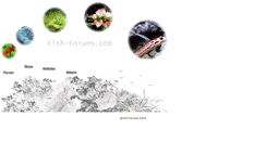 Desktop Screenshot of fish-forums.com